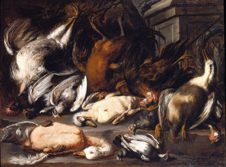 Natura morta con selvaggina (dipinto) - ambito emiliano (inizio sec. XVIII)