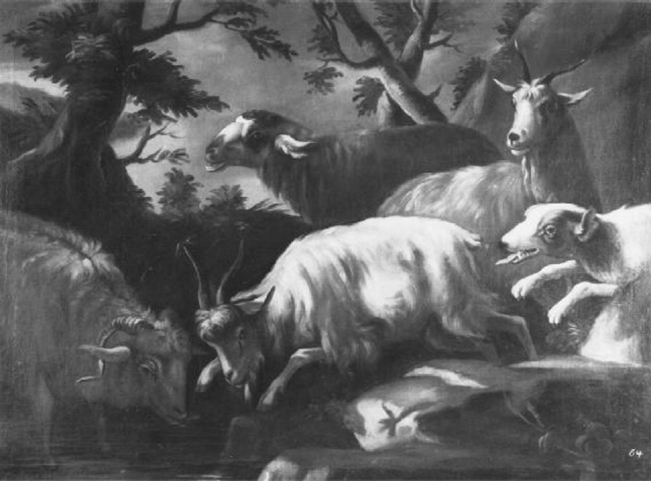 capre, pecora e cane (dipinto) di Tassoni, Giuseppe (attribuito) (sec. XVIII)