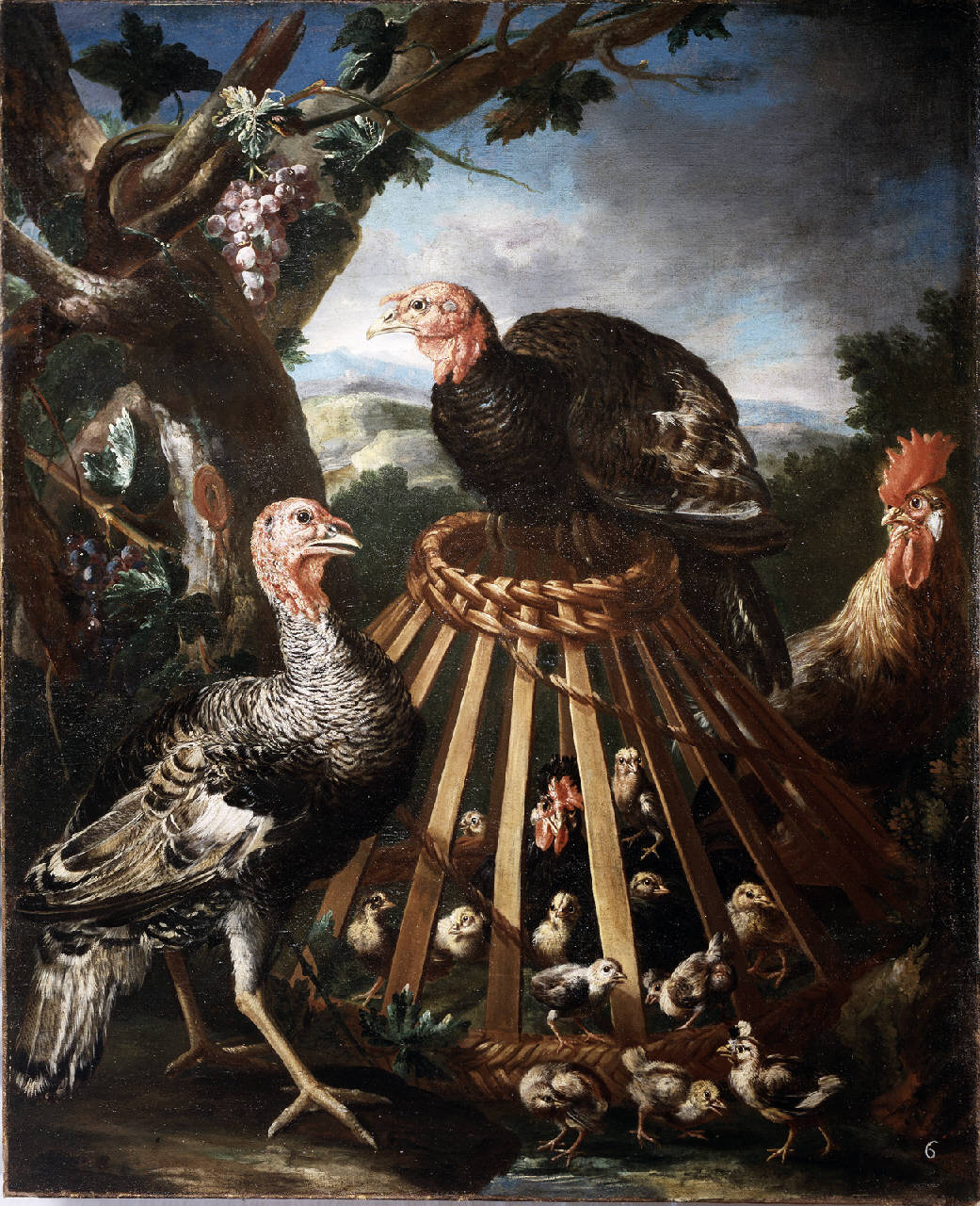 gallo, tacchini e pulcini (dipinto) di Crivelli Angelo Maria detto Crivellone (attribuito) (sec. XVIII)