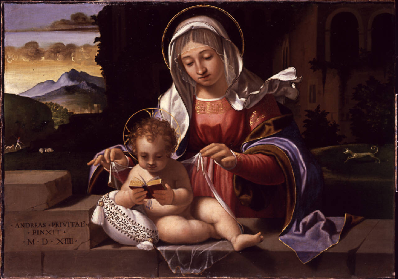 Madonna con Bambino che legge (dipinto) di Previtali Andrea (sec. XVI)