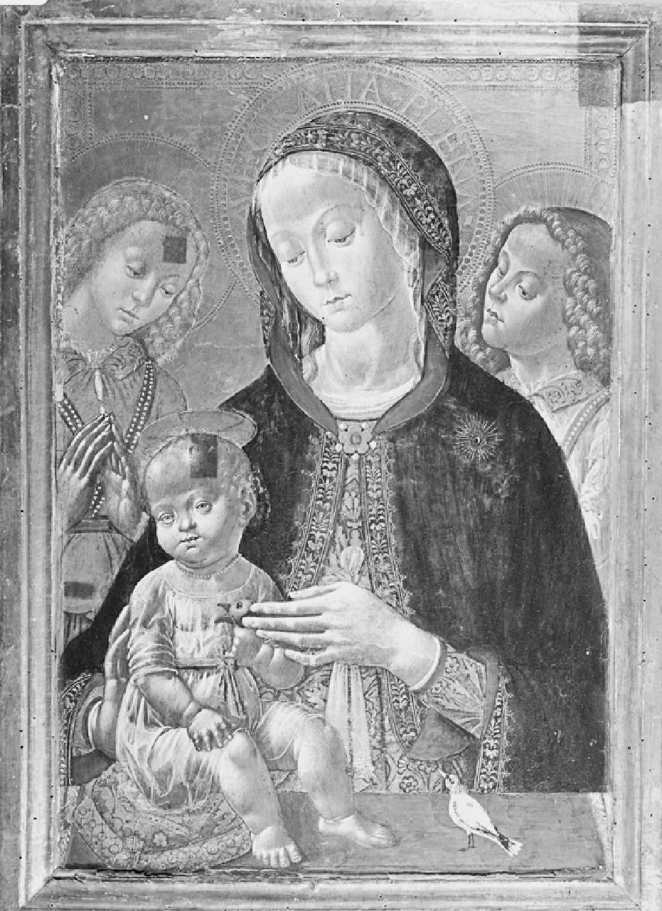 Madonna con Bambino e angeli (dipinto) di Fungai, Bernardino (attribuito) (sec. XV)