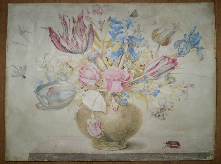 Vaso con fiori e insetti (miniatura) di Montfort, Octavianus (attribuito) (sec. XVII)