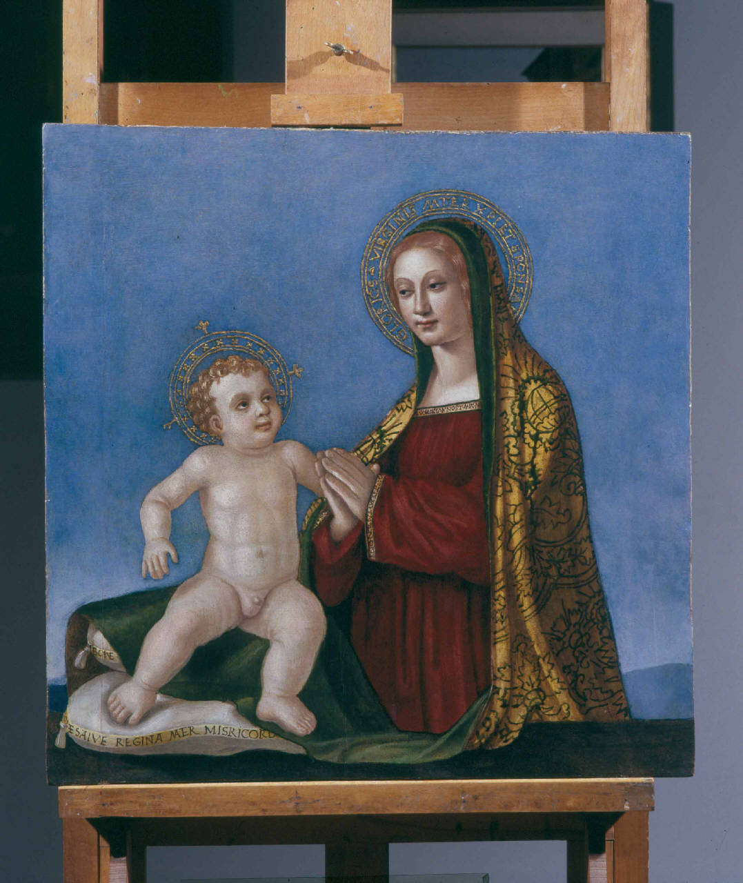 Madonna con Bambino (dipinto) di Boselli Antonio (sec. XVI)