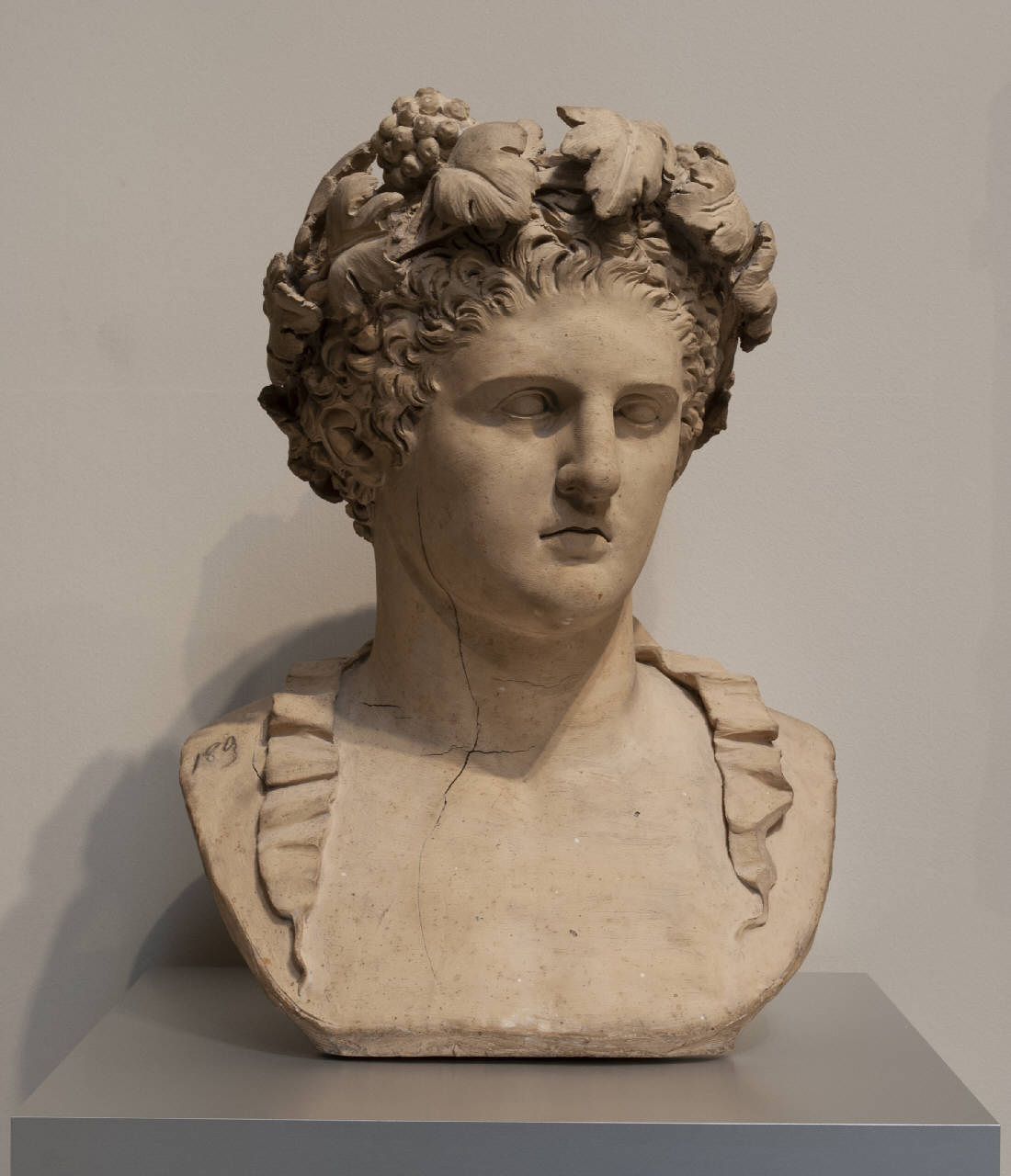 testa di Bacco (busto) di Poncet, Francois Marie (sec. XVIII)