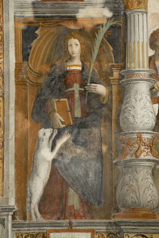 SANT'AGNESE (dipinto murale) di De Donati, Bernardino (e aiuti) (sec. XVI)