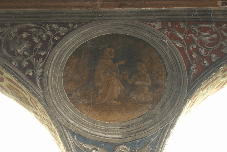 CREAZIONE DI ADAMO (dipinto murale) di De Donati, Alvise (e aiuti) (sec. XVI)