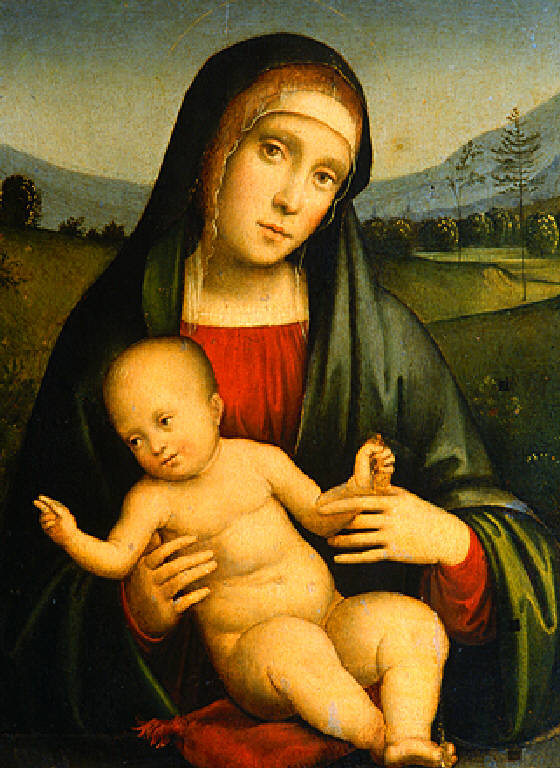 Madonna con Bambino e un cardellino (dipinto) di Raibolini Francesco detto Francia (bottega) (inizio sec. XVI)