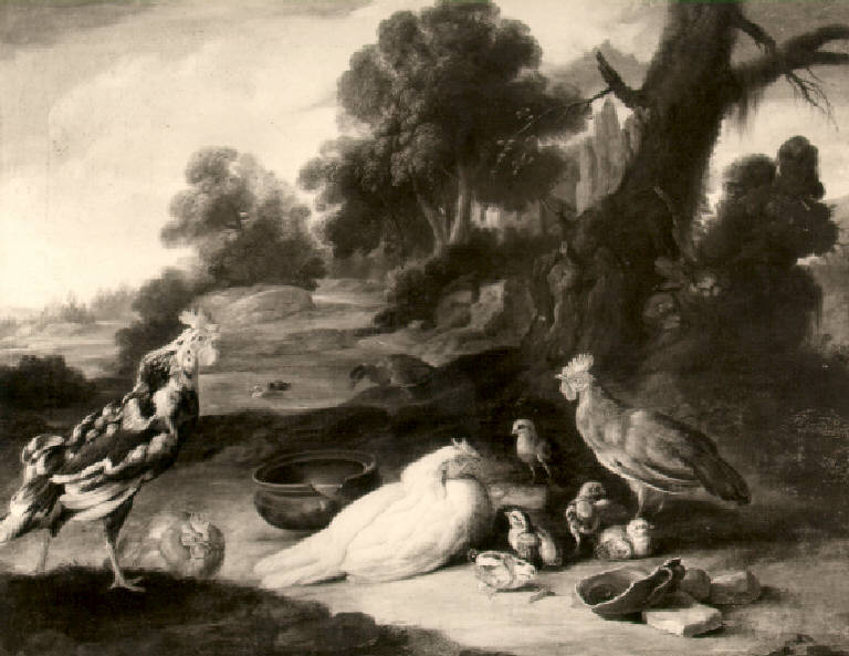 Paesaggio con galli, chioccia e pulcini (dipinto) di Duranti Giorgio (sec. XVIII)