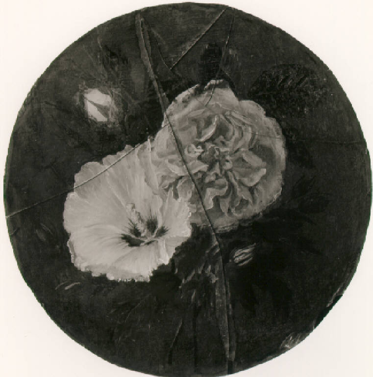 Rosa e malvone (dipinto) di Castellini Tommaso (sec. XIX)