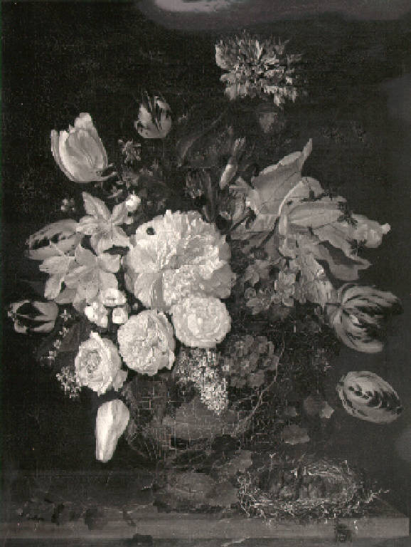 Natura morta con vaso di tulipani (dipinto) di Castellini Tommaso (sec. XIX)