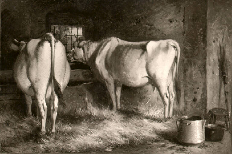 Mucche in una stalla (dipinto) di Joli Faustino (sec. XIX)
