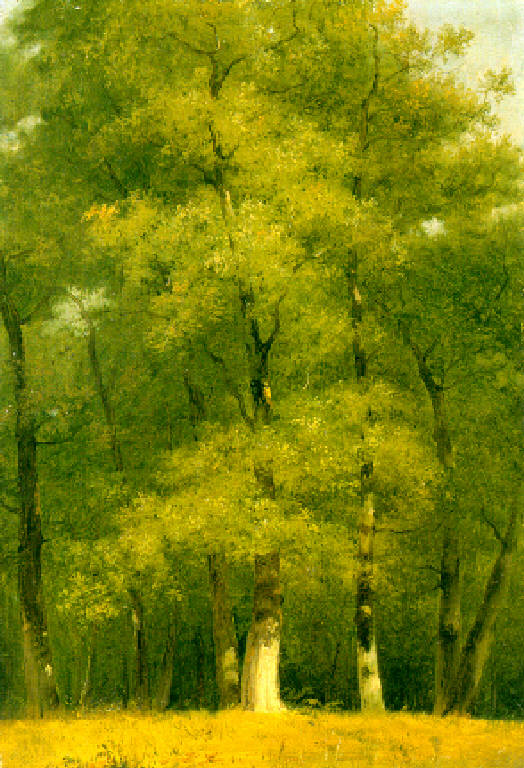 Paesaggio con alberi (dipinto) di Canella Giuseppe (sec. XIX)