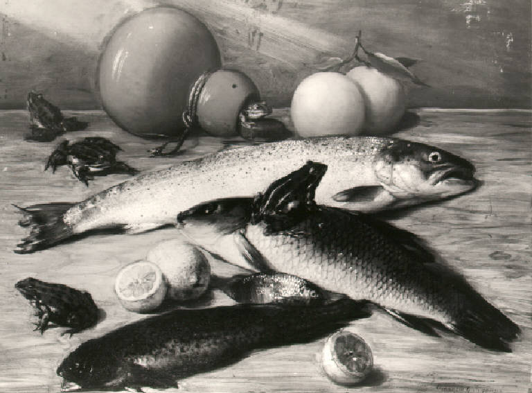Natura morta con pesci e rane (dipinto) di Inganni Guerrillot Amanzia (terzo quarto sec. XIX)