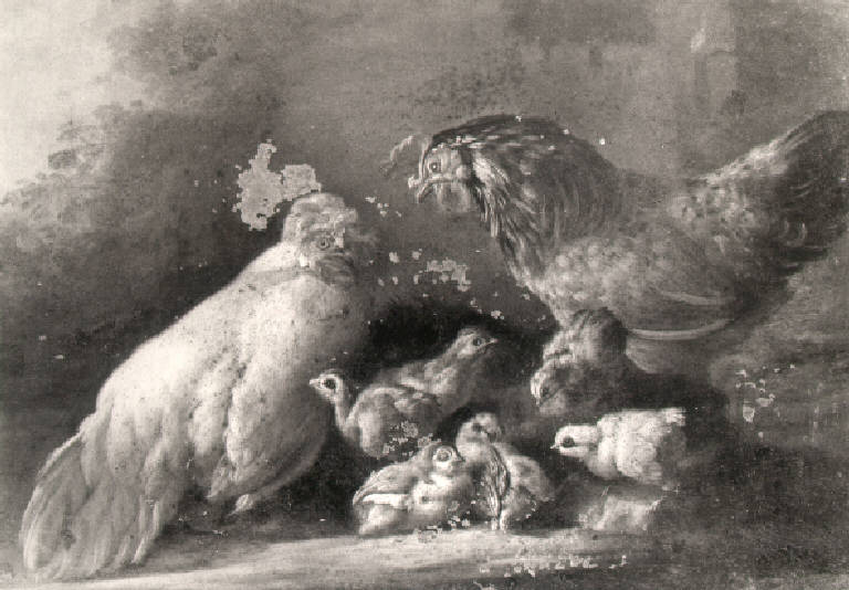 Gallo, gallina e pulcini (dipinto) di Duranti Giorgio (sec. XVIII)