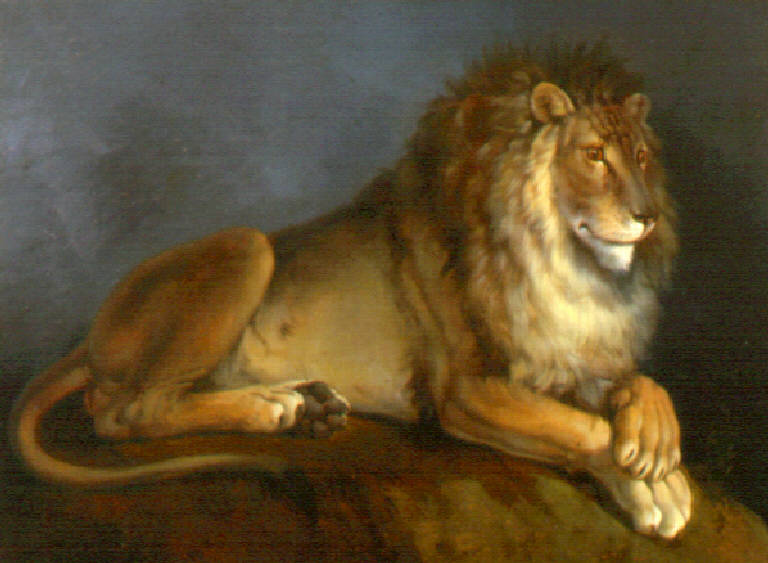 Leone (dipinto) di Joli Faustino (sec. XIX)