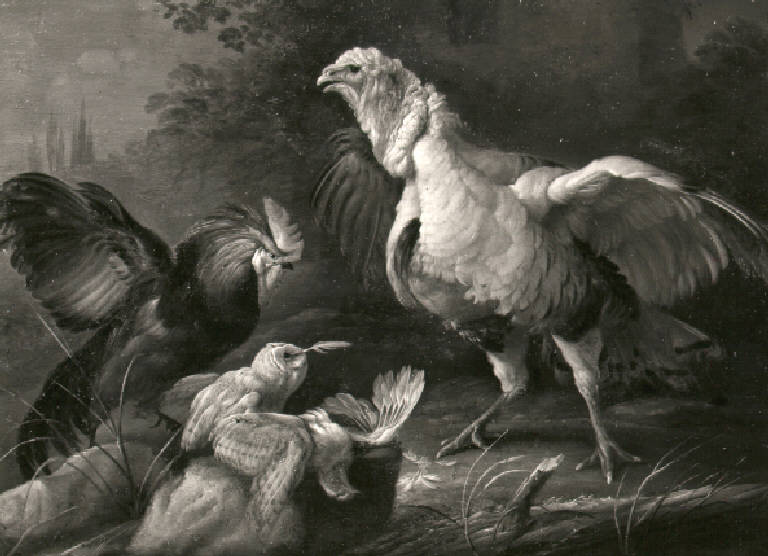 Tacchino, gallo e civetta (dipinto) di Duranti Giorgio (sec. XVIII)