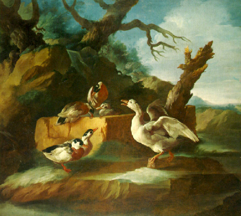 Anatre e oca presso un abbeveratoio (dipinto) di Duranti Giorgio (prima metà sec. XVIII)