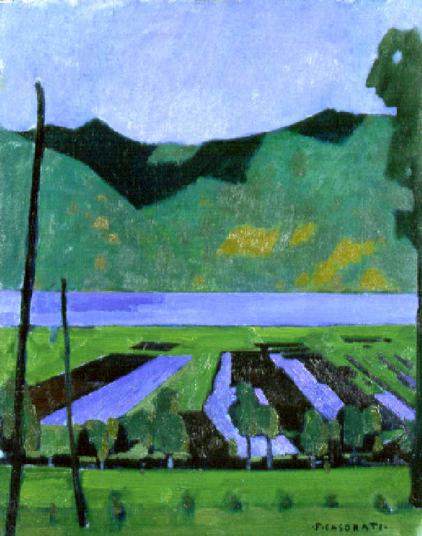 Campo di torba presso il lago d'Iseo (dipinto) di Casorati Felice (metà sec. XX)
