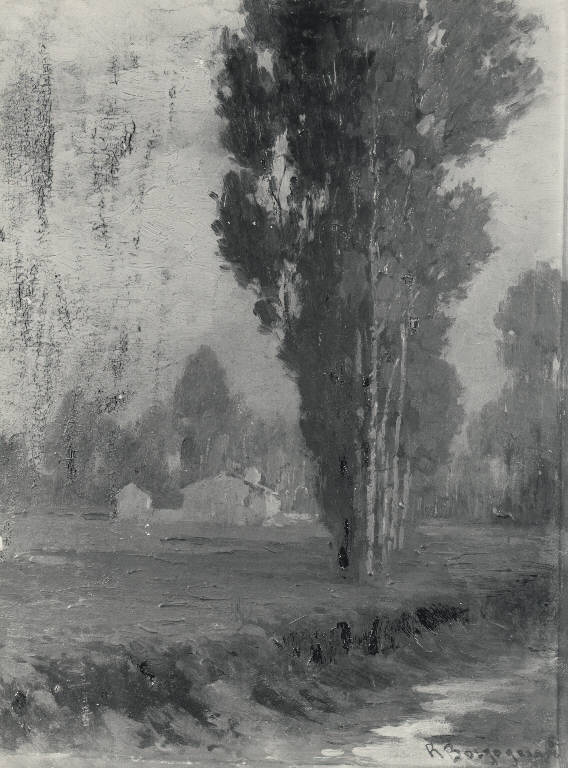 Prati con filari d'alberi, Paesaggio con alberi (dipinto) di Borgognoni Romeo (secc. XIX/ XX)
