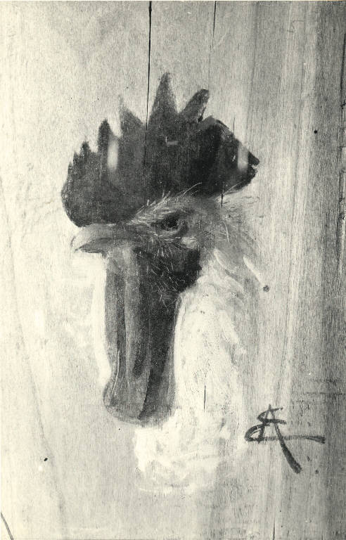 Vecchio gallo, Gallo (dipinto) di Acerbi Ezechiele (fine sec. XIX)