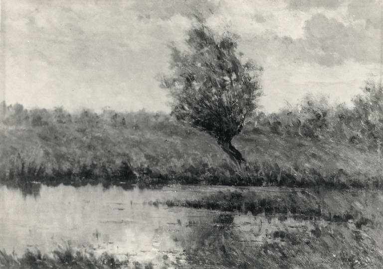 Lanca con pianta e alberi, Paesaggio (dipinto) di Rossi Erminio (secc. XIX/ XX)
