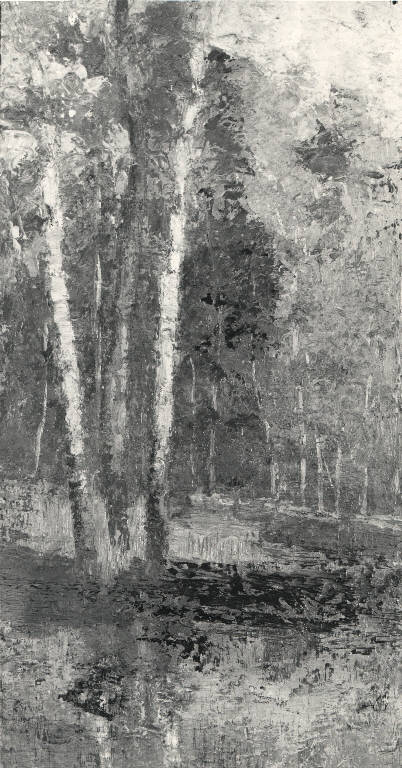 Paesaggio boschivo, Paesaggio con alberi (dipinto) di Rossi Erminio (secc. XIX/ XX)