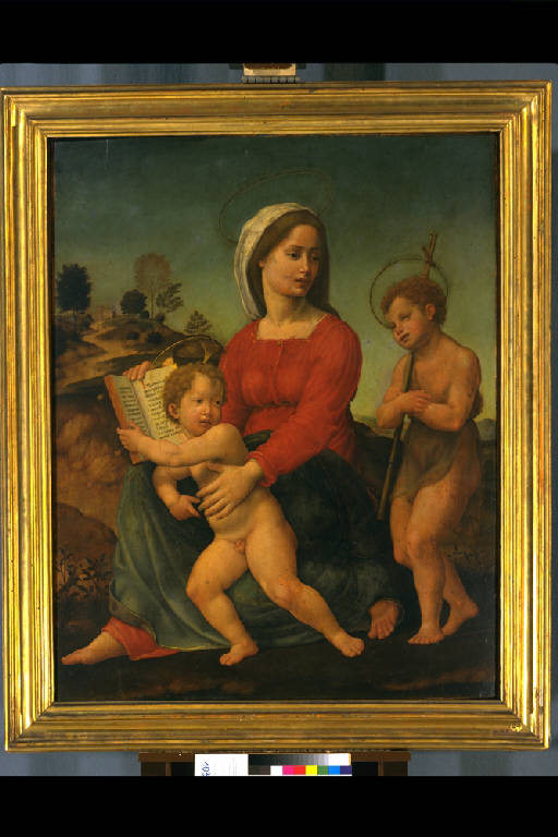 MADONNA CON IL BAMBINO E SAN GIOVANNINO (dipinto) di Bugiardini Giuliano (sec. XVI)