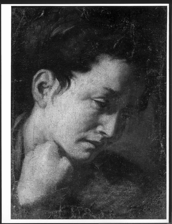 STUDIO DI TESTA FEMMINILE (dipinto) di Procaccini Giulio Cesare (ambito) (sec. XVII)