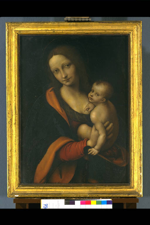 MADONNA CON IL BAMBINO (dipinto) di Rizzi Gian Pietro detto Giampietrino (sec. XVI)