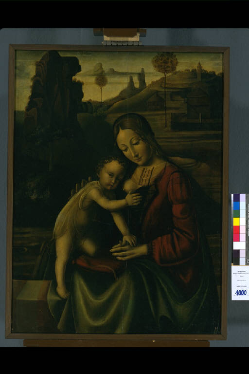 MADONNA CHE ALLATTA IL BAMBINO (dipinto) di Conti Bernardino de' (cerchia) (sec. XVI)