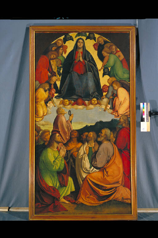 ASSUNZIONE DELLA VERGINE (dipinto) di Giovanni Agostino da Lodi detto Pseudo Boccaccino (sec. XVI)
