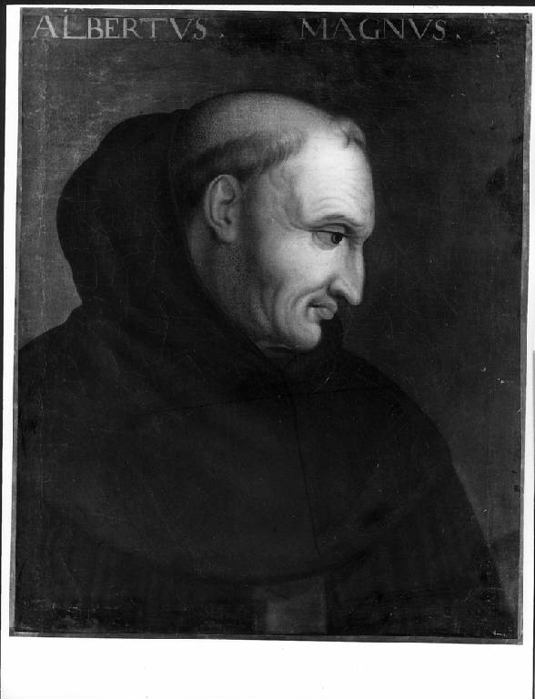 RITRATTO DI SANT'ALBERTO MAGNO (dipinto) di Franchi Giuseppe (attr.) (sec. XVII)