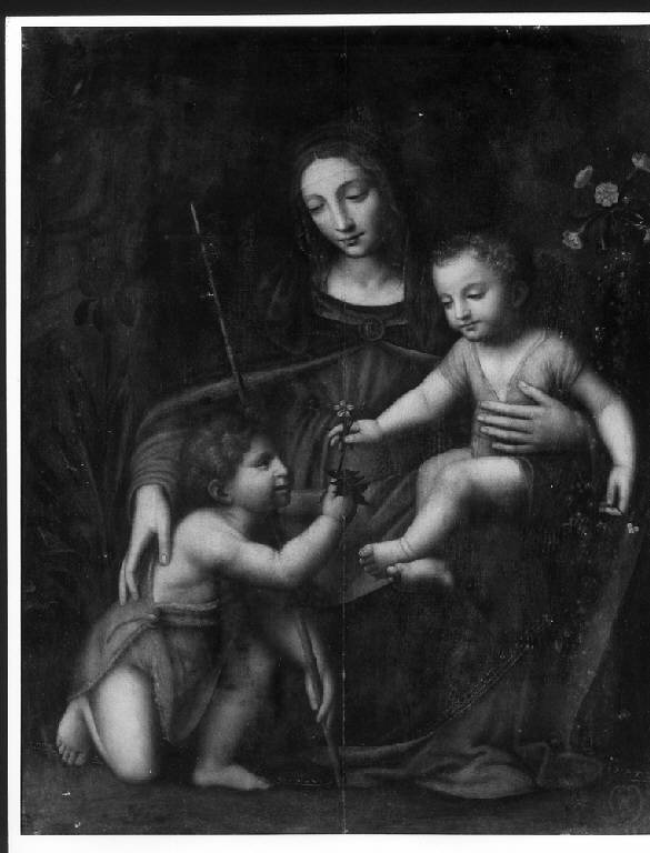 MADONNA CON BAMBINO E SAN GIOVANNINO (dipinto) di Luini Bernardino (bottega) (primo quarto sec. XVI)