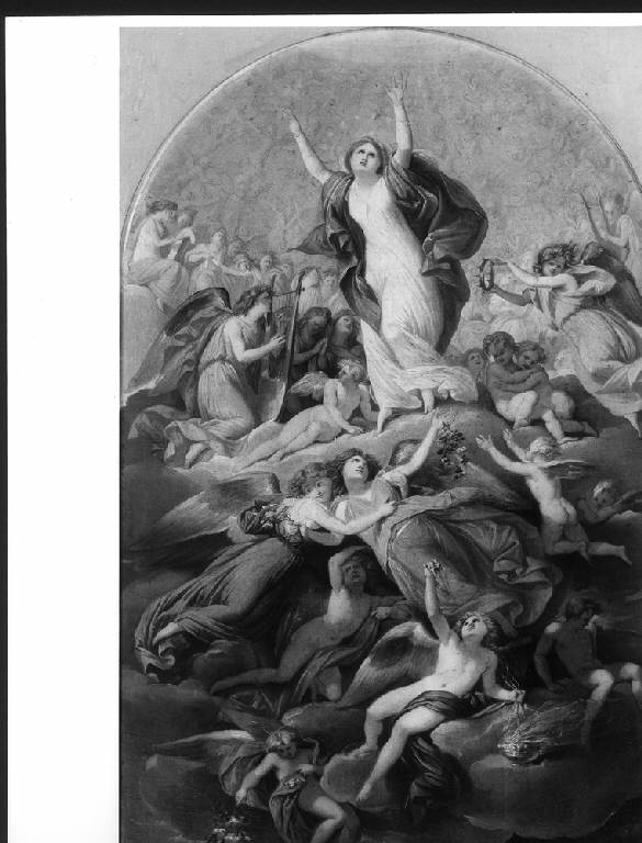 MADONNA ASSUNTA TRA GLI ANGELI (dipinto) di Comerio Agostino (primo quarto sec. XIX)