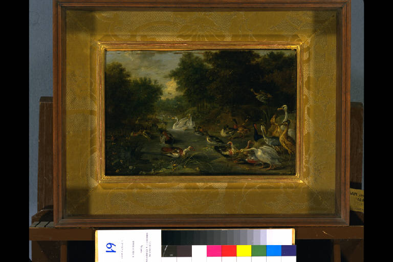 VOLATILI IN UNA PALUDE (dipinto) di Kessel Jan van (terzo quarto sec. XVII)
