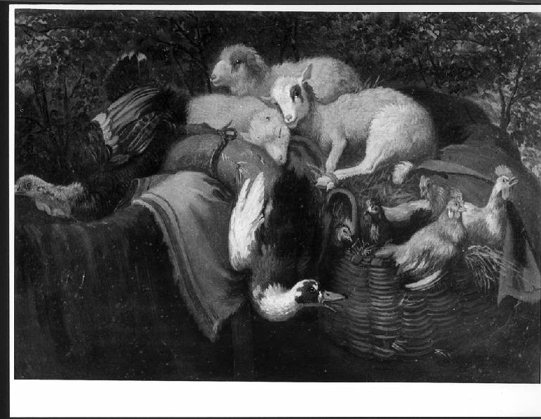 Pecore e galline, PECORE E GALLINE (dipinto) di Londonio Francesco (metà sec. XVIII)