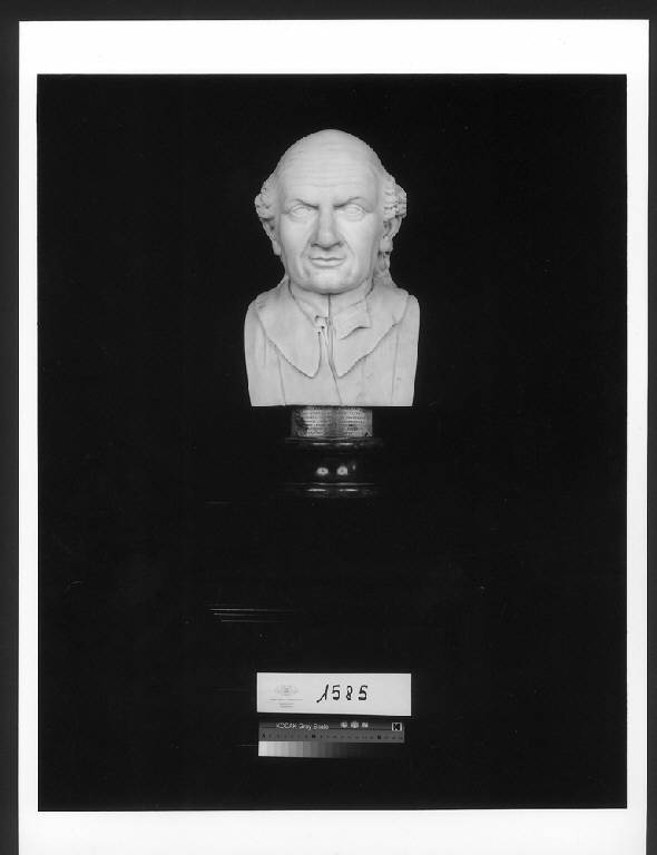 Giovan Battista Branca, BUSTO RITRATTO MASCHILE (busto) di Franchi Giuseppe (sec. XVIII)