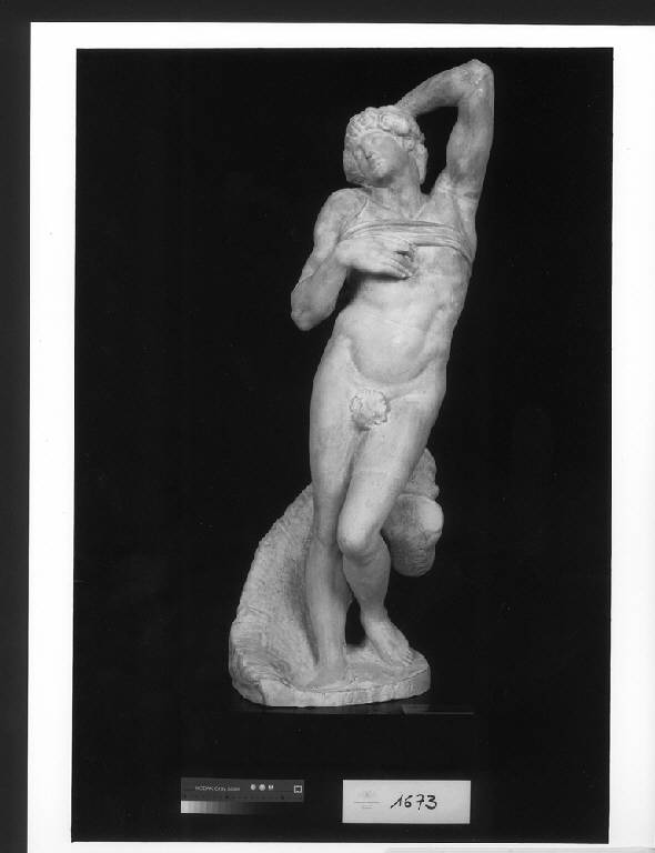 SCHIAVO MORENTE (calco di scultura) di Buonarroti Michelangelo (copia da) (secc. XVI/ XVII)