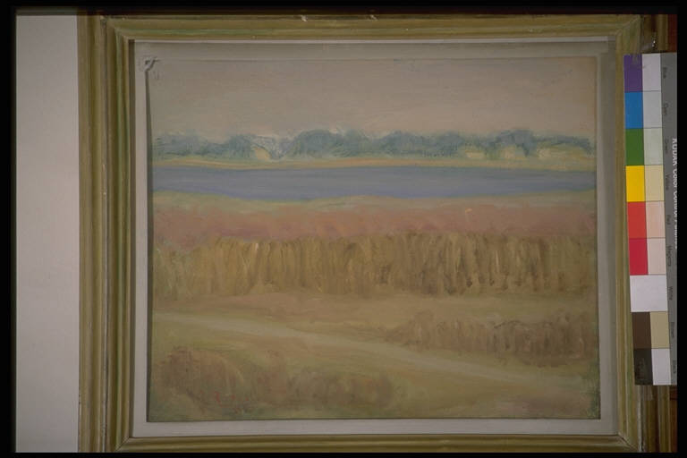 Paesaggio Mantovano, PAESAGGIO CON LAGO v Paesaggio lacustre (dipinto) di Ruberti, Francesco (sec. XX)