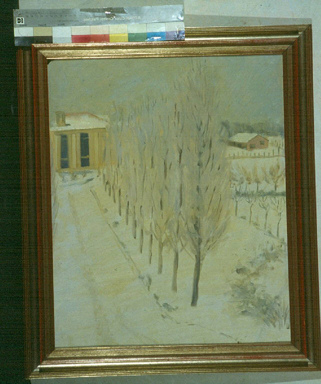 Nevicata, PAESAGGIO CON ALBERI (dipinto) di Facciotto, Giuseppe (sec. XX)