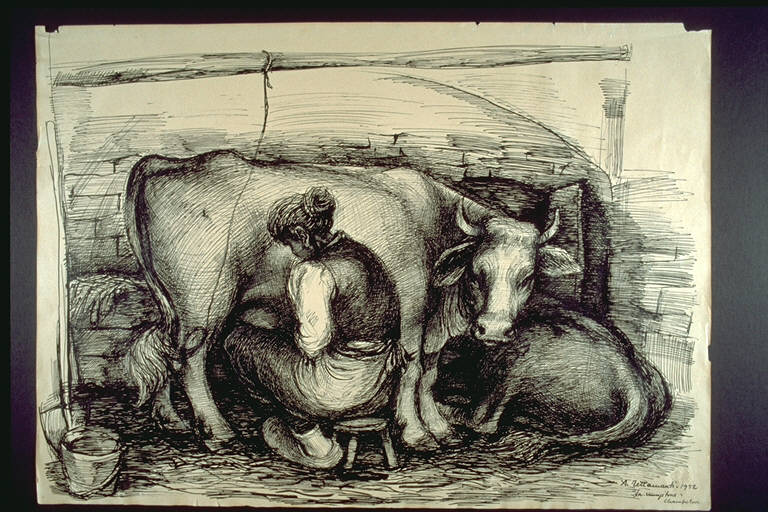 La mungitrice, Donna, di spalle, intenta a mungere una mucca (disegno) di Tettamanti, Ampelio (terzo quarto sec. XX)