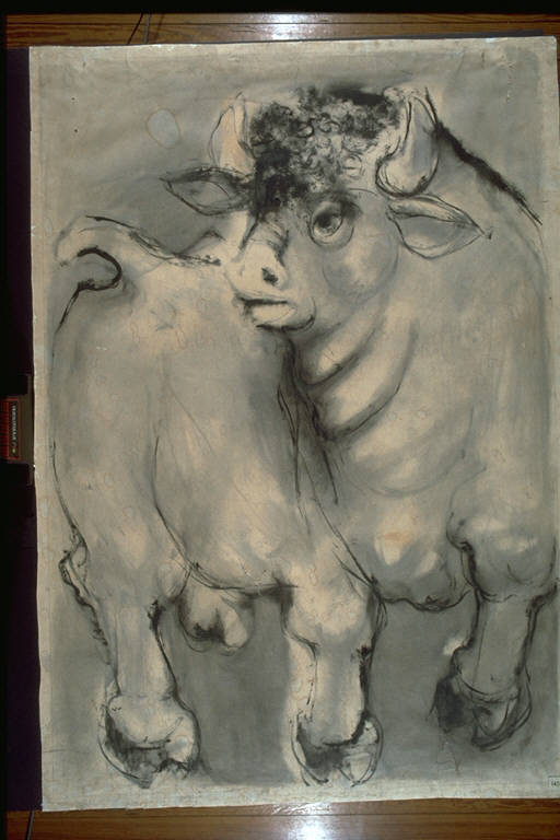 Il torello, Toro (disegno) di Seguri, Albano (terzo quarto sec. XX)