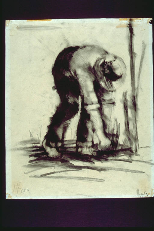 Contadino, Contadino chinato, al lavoro nei campi (disegno) di Moneta, Ferdinando (terzo quarto sec. XX)
