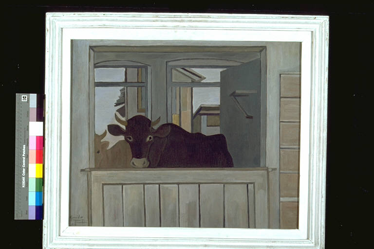 La mucca, Mucca all'interno di una stalla, con porta divisoria chiusa (dipinto) di Trentini, Guido (terzo quarto sec. XX)