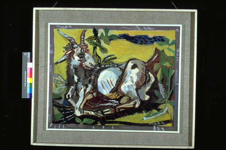 La capra, Rappresentazione di una capra sdraiata (dipinto) di Nobile, Alberto (terzo quarto sec. XX)