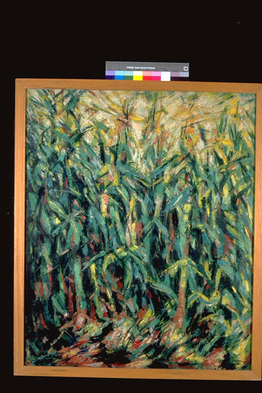 Campo di grano, Rappresentazione ravvicinata di piante (dipinto) di Roma, Gina (terzo quarto sec. XX)