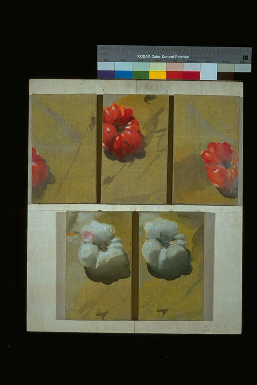 Piccolo orrido, Su ciascuna delle cinque tele è dipinto un fiore, ora intero, ora frammentario (dipinto) di Zucchini, Giorgio (ultimo quarto sec. XX)