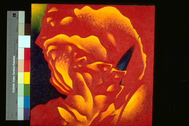 Composizione con rosso, giallo e bleu (Autoritratto del Parmigianino), Composizione fitomorfa (dipinto) di Lumaca, Riccardo (ultimo quarto sec. XX)