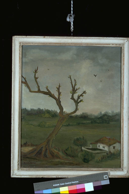 L'albero fulminato, Paesaggio rurale con scheletro di un albero e fattoria (dipinto) di Casabene, Emilia (terzo quarto sec. XX)