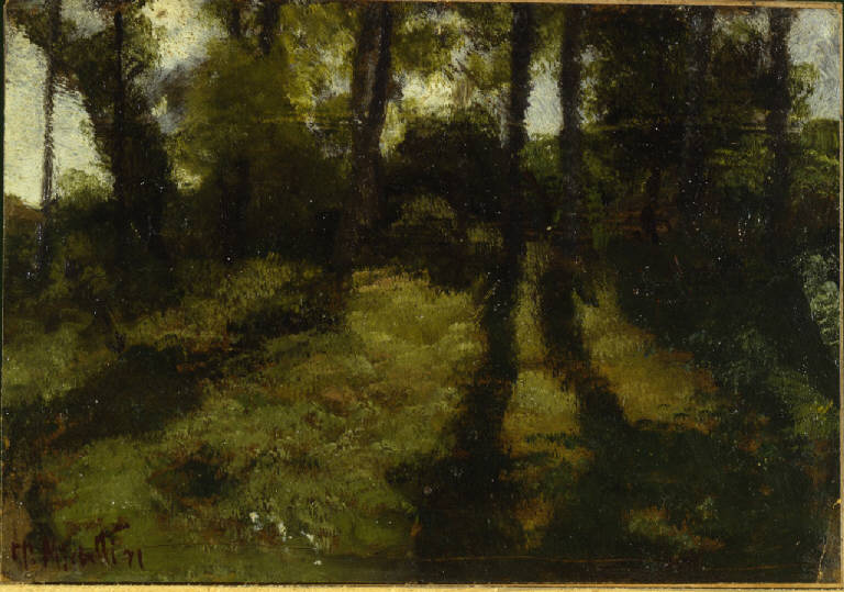 Studio di bosco, bosco (dipinto) di Michetti, Francesco Paolo; Zaccari, Ettore (terzo quarto sec. XIX)